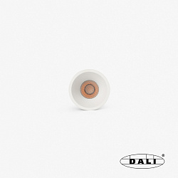 Tulipa Белый встраиваемый даунлайт 10W 55° 4000K CRI90 DALI IP44