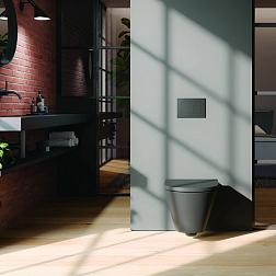 Клавиша смыва TECEvelvet 9240731, механическая, Grigio Londra (антрацит)